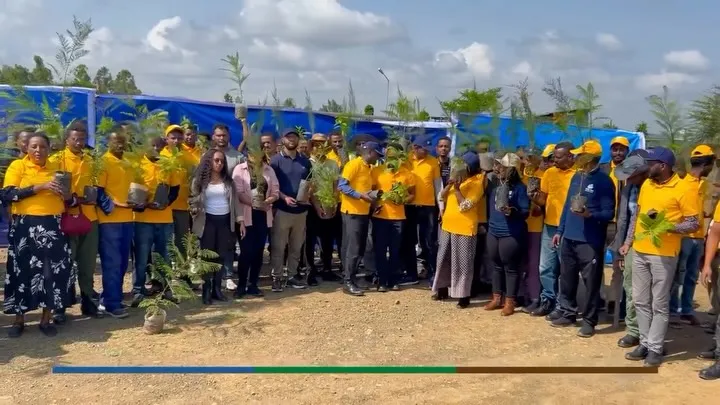 Community Participation